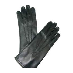 Ladies Winter Gloves