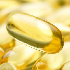 Manufacturers Exporters and Wholesale Suppliers of Refined Fish Oil Mumbai Maharashtra