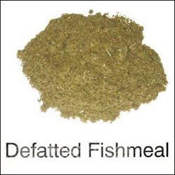 Flame Dried Fish Meal