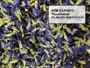 Manufacturers Exporters and Wholesale Suppliers of Blue pee flower Tuticorin Tamil Nadu