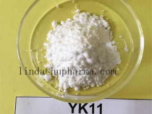 Manufacturers Exporters and Wholesale Suppliers of Hupharma sarms YK11 YK-11 Liquid shenzhen 