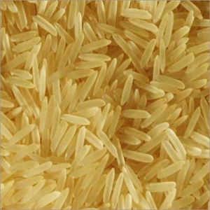 katarni rice Manufacturer Supplier Wholesale Exporter Importer Buyer Trader Retailer in Motihari Bihar India