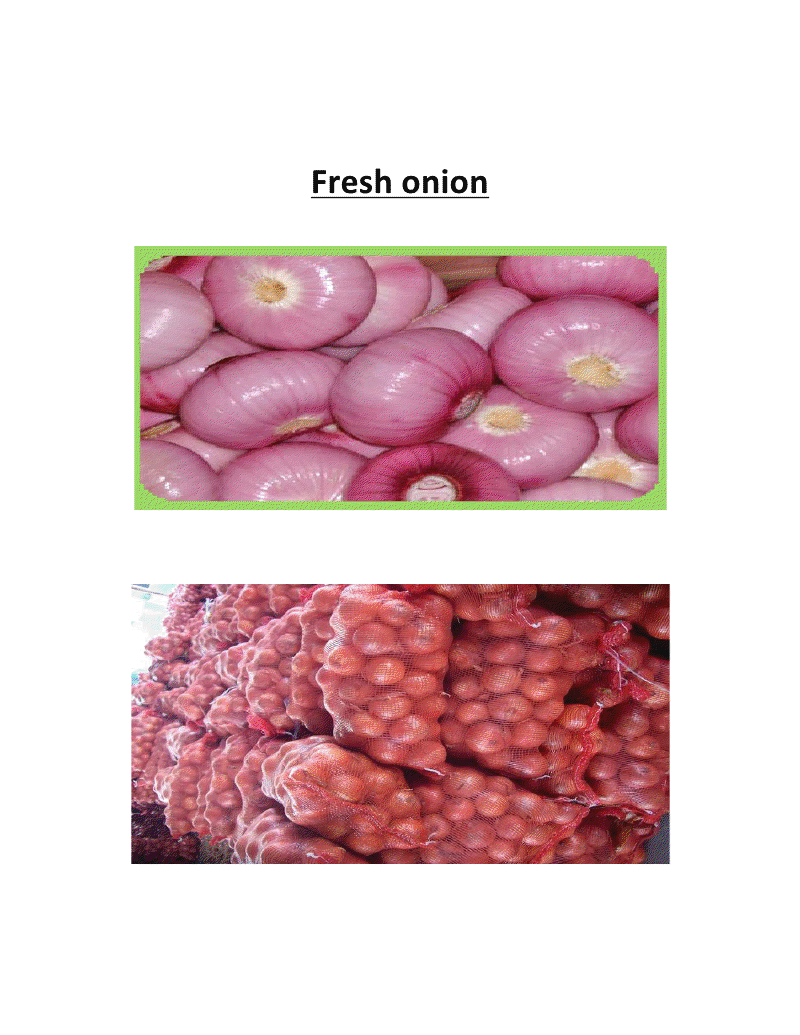 Manufacturers Exporters and Wholesale Suppliers of Onion Bangalore Karnataka