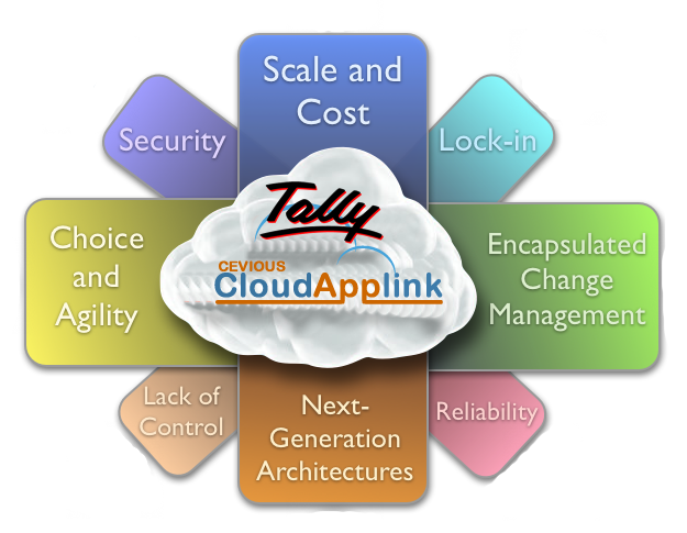 Manufacturers Exporters and Wholesale Suppliers of Tally Cloud Server New Delhi Delhi