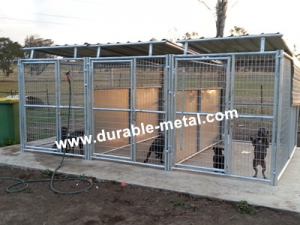 3-run Dog Kennels With Fight Guard Divider