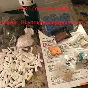 Manufacturers Exporters and Wholesale Suppliers of buy Subutex, xanax, oxycodone, opana, actavis hi tech cough syrup Barrington Texas