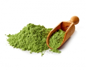 Manufacturers Exporters and Wholesale Suppliers of Wheatgrass Powder Coimbatore Tamil Nadu