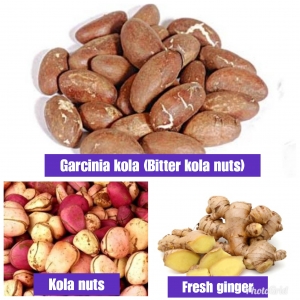 Garcinia kola (Bitter kola nuts) and fresh ginger Manufacturer Supplier Wholesale Exporter Importer Buyer Trader Retailer in Mumbai Alberta Nigeria
