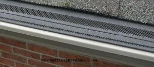 Shingle Gutter Guard