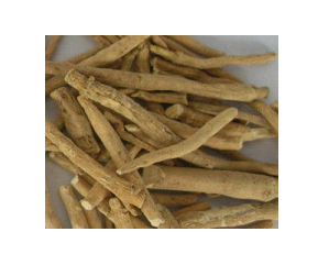 Manufacturers Exporters and Wholesale Suppliers of Ashwagandha Withania Somnifera Jaipur Rajasthan