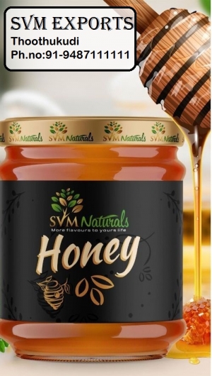 Manufacturers Exporters and Wholesale Suppliers of Moringa honey Tuticorin Tamil Nadu