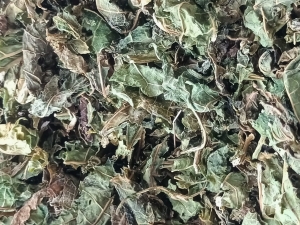 Manufacturers Exporters and Wholesale Suppliers of Papaya  Leaves Tuticorin Tamil Nadu