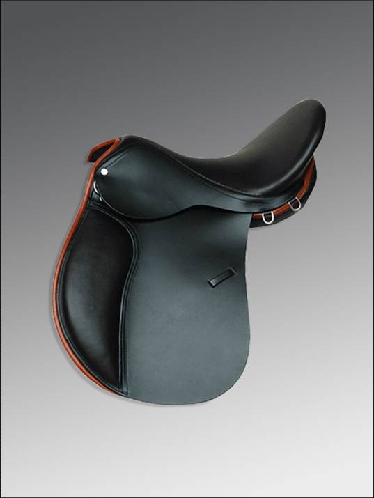 English Saddle El 005