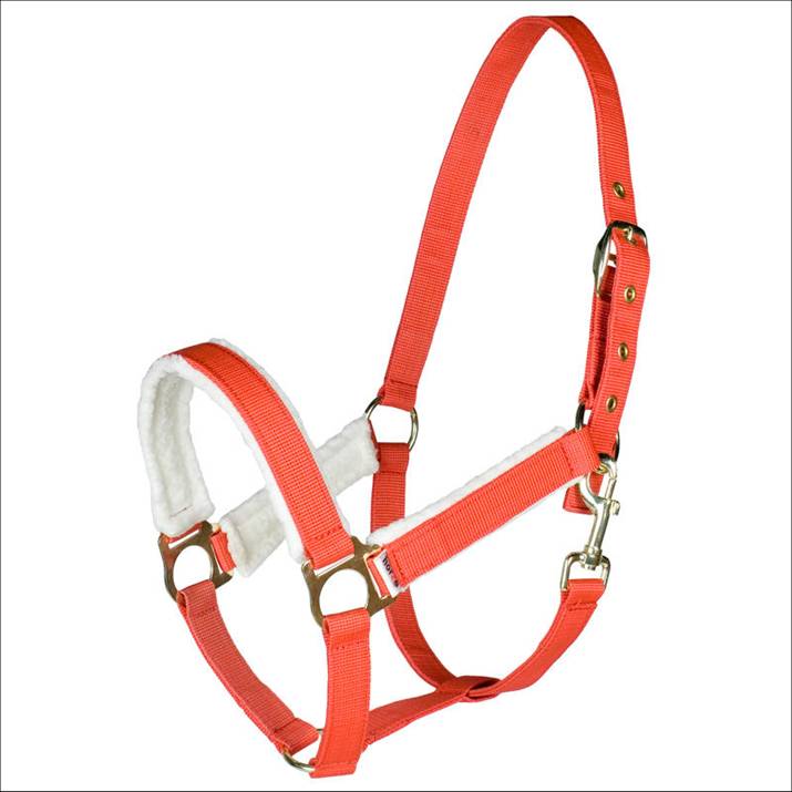 Manufacturers Exporters and Wholesale Suppliers of Horse halter 002 kanpur Uttar Pradesh
