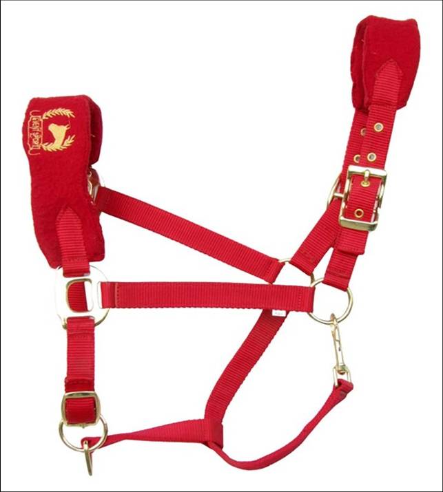 Horse Halter 011