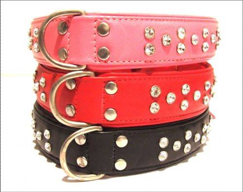 Manufacturers Exporters and Wholesale Suppliers of Dog collar dc 021 kanpur Uttar Pradesh