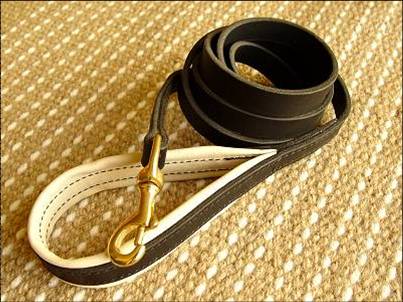 Leather dog lead dn 008 Manufacturer Supplier Wholesale Exporter Importer Buyer Trader Retailer in kanpur Uttar Pradesh India