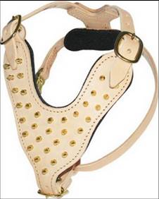 Manufacturers Exporters and Wholesale Suppliers of Dog harness dnh 002 kanpur Uttar Pradesh