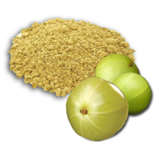 Manufacturers Exporters and Wholesale Suppliers of Amla Powder Sojat Rajasthan