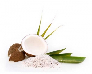 Manufacturers Exporters and Wholesale Suppliers of Coconut Milk Powder Coimbatore Tamil Nadu Coconut Milk Powder