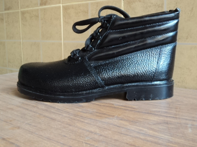 Ankle Model
