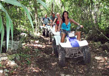 Manufacturers Exporters and Wholesale Suppliers of Jungle Tour New Delhi Delhi