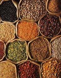 Manufacturers Exporters and Wholesale Suppliers of Pulses Pune Maharashtra