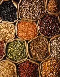 Pulses