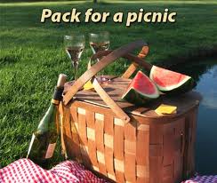 Office,school,college Picnics