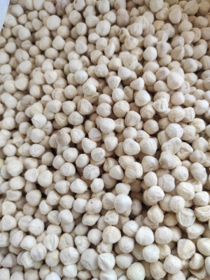 Manufacturers Exporters and Wholesale Suppliers of Freash Drumstick kernel Tuticorin Tamil Nadu