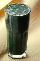 Manufacturers Exporters and Wholesale Suppliers of Spirulina Juice Valsad Gujarat