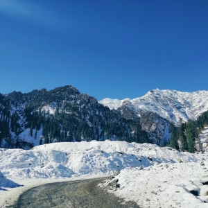 Shri Radha Tour and Travel