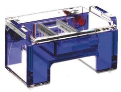 Manufacturers Exporters and Wholesale Suppliers of Electrophoresis Ahmedabad, Gujarat Electrophoresis