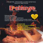 Manufacturers Exporters and Wholesale Suppliers of Echarge Faridabad Haryana