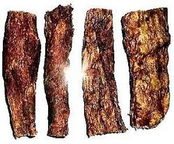 Lungs