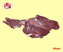 Manufacturers Exporters and Wholesale Suppliers of Blade Kanpur Uttar Pradesh