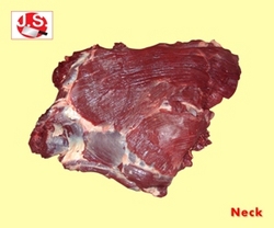 Manufacturers Exporters and Wholesale Suppliers of Neck Kanpur Uttar Pradesh