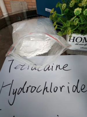 99%  Pure Tetracaine hydrochloride /Tetracaina hcl power USP/GMP standerd Manufacturer Supplier Wholesale Exporter Importer Buyer Trader Retailer in Guangzhou  China