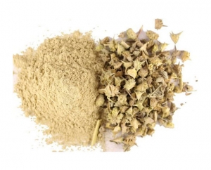 Manufacturers Exporters and Wholesale Suppliers of Tribulus Terrestris Powder Coimbatore Tamil Nadu Tribulus Terrestris Powder
