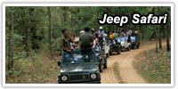 Manufacturers Exporters and Wholesale Suppliers of Jeep Safari Kolkata West Bengal