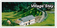 Manufacturers Exporters and Wholesale Suppliers of Village Stay Kolkata West Bengal