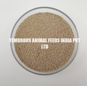 L-Lysine HCL Manufacturer Supplier Wholesale Exporter Importer Buyer Trader Retailer in Thrissur Kerala India