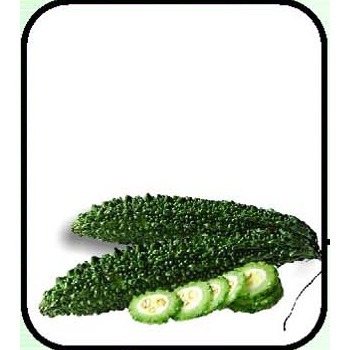 Manufacturers Exporters and Wholesale Suppliers of Karela (Momordica Charantea) New Delhi Delhi