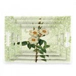 Manufacturers Exporters and Wholesale Suppliers of Reichen Mat Finish-15″ New Delhi Delhi