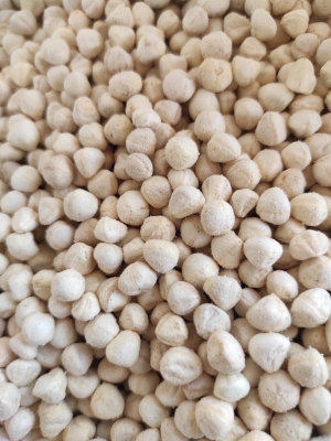 Service Provider of ORGANIC MORINGA kernal Tuticorin Tamil Nadu 