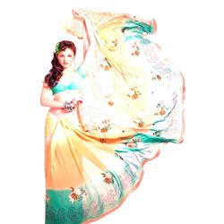 Manufacturers Exporters and Wholesale Suppliers of Sarees (D.No. 1209 B ) Surat Gujarat