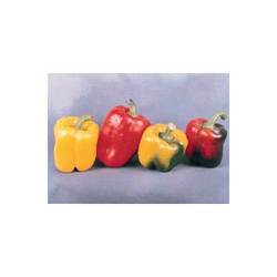 Manufacturers Exporters and Wholesale Suppliers of Capsicum Pune Maharashtra