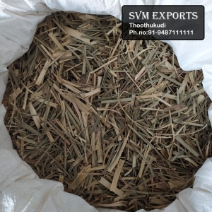 Manufacturers Exporters and Wholesale Suppliers of Lemon grass tea leaves Tuticorin Tamil Nadu