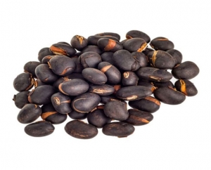 Manufacturers Exporters and Wholesale Suppliers of Mucuna Pruriens Coimbatore Tamil Nadu