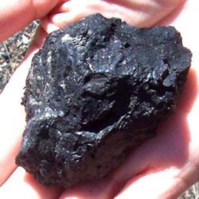 Steam Coal